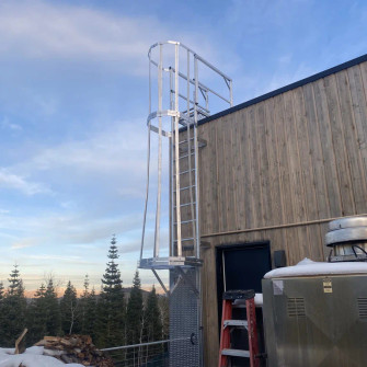 Caged fixed ladder with roof access platform installed on a wood-sided building at dusk