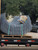 Rolled Kingspan Gladiator wire mesh safety cage strapped to a pallet on a flatbed trailer
