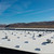Close full-roof view of numerous Sunoptics dome skylights installed in rows