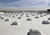 Wide view of a commercial roof with many rows of Sunoptics dome skylights installed