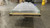 CMD2 4896 P1C2