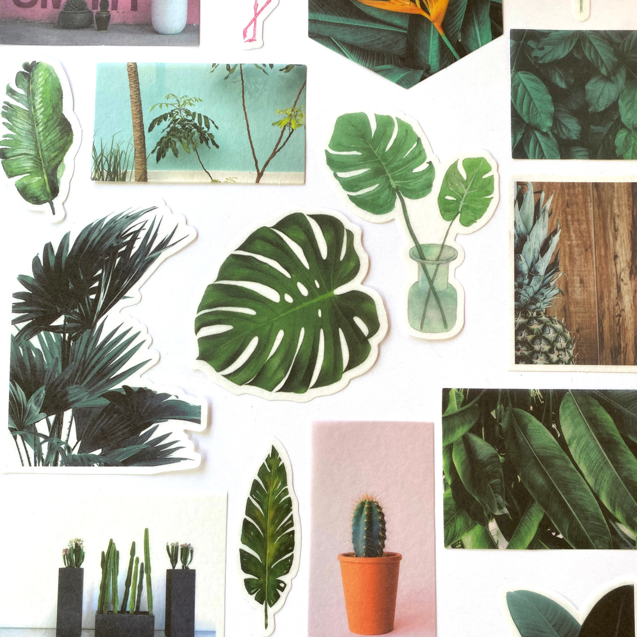 Tropical Botanical Stickers