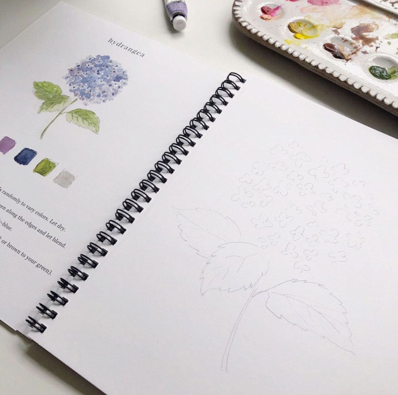 emily lex Watercolor Workbook Flowers - Antiquaria