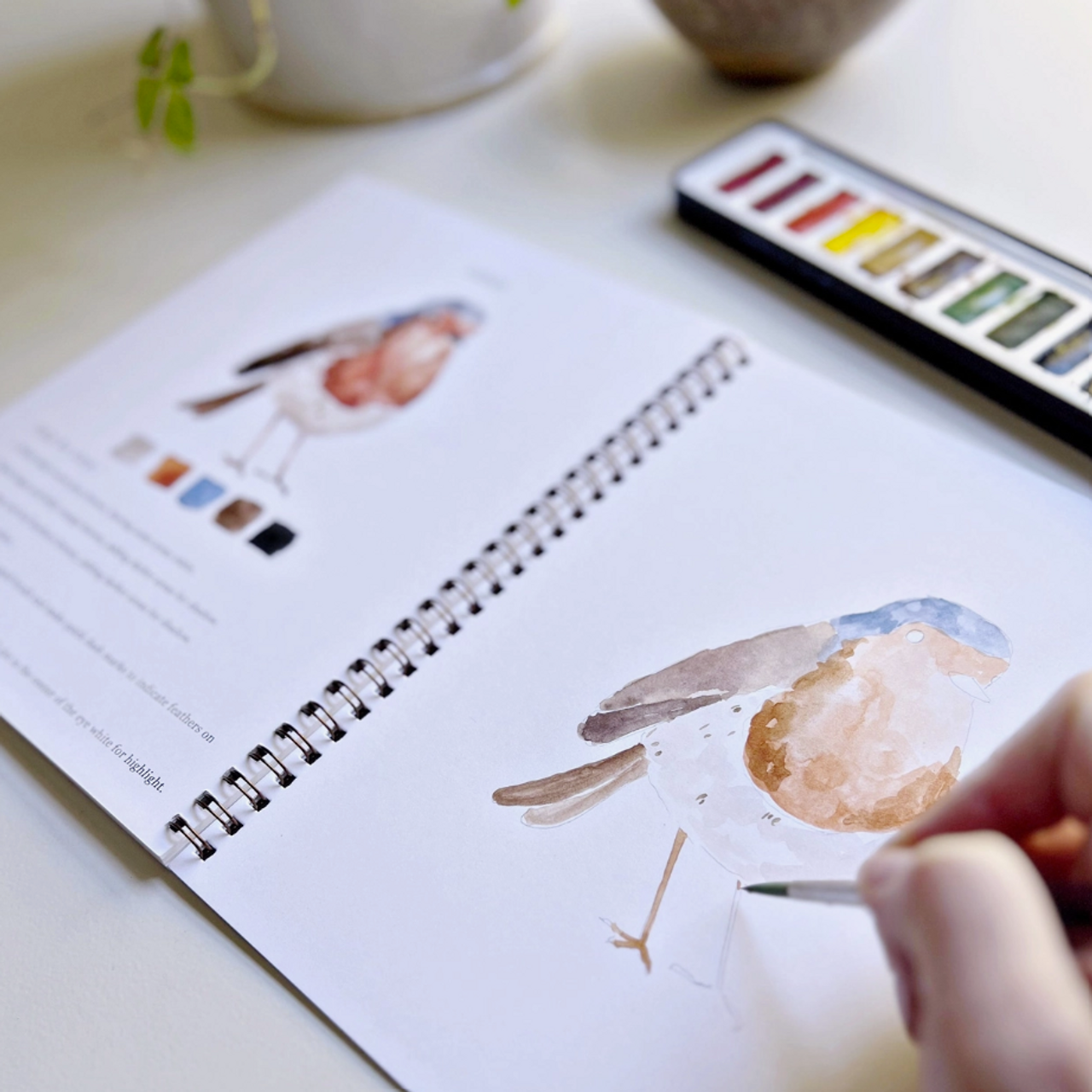 emily lex Watercolor Workbook Birds - Antiquaria