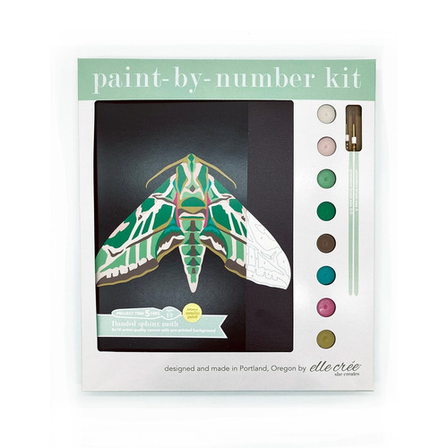 Banded Sphinx Moth Paint-by-Number Kit