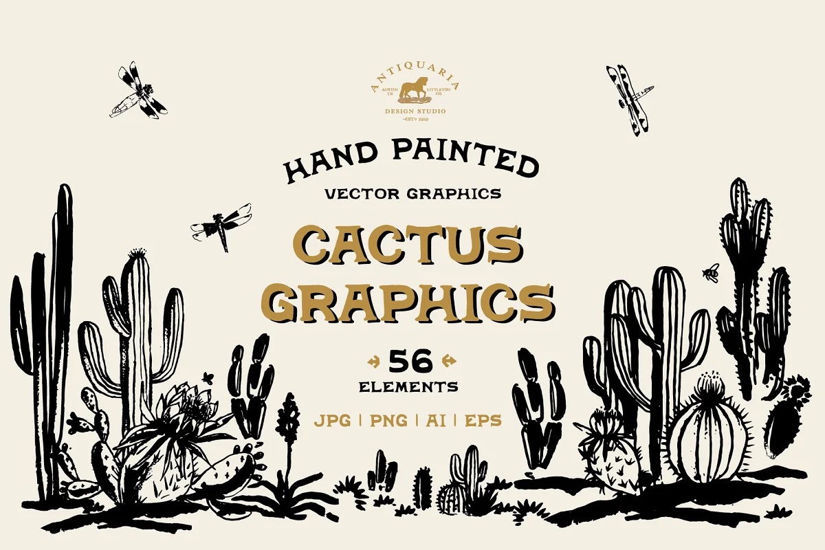 Vector Cactus Illustrations