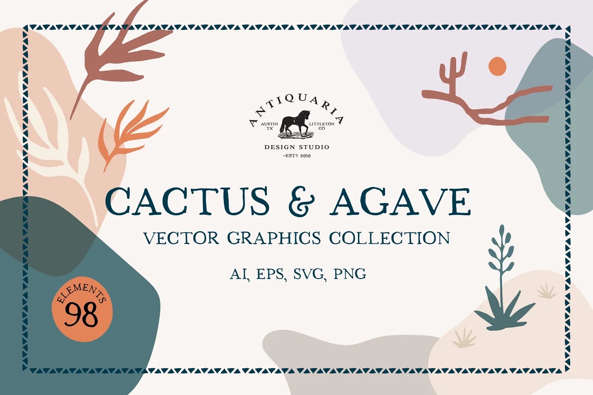 Cactus and agave illustrations