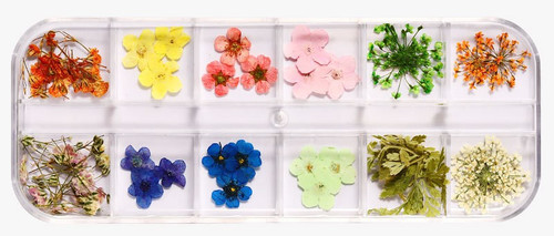 Assorted Colorful Dried Nail Art Flowers