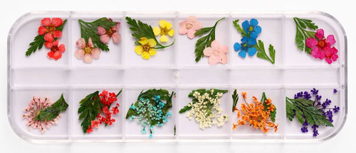 Assorted Colorful Dried Nail Art Flowers with Leaves