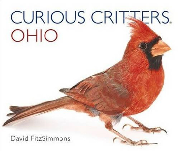 Curious Critters Ohio Board Book