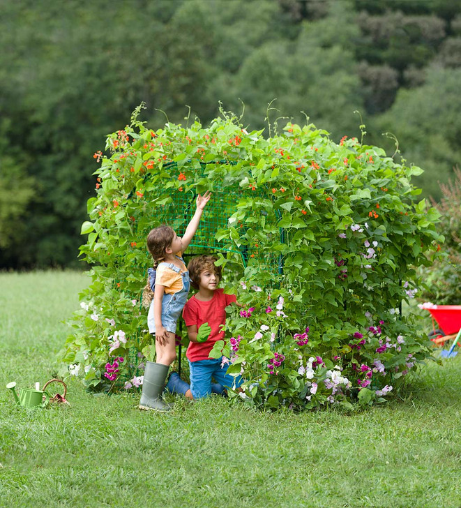 Grow with Me Garden Fort Structure with Seeds