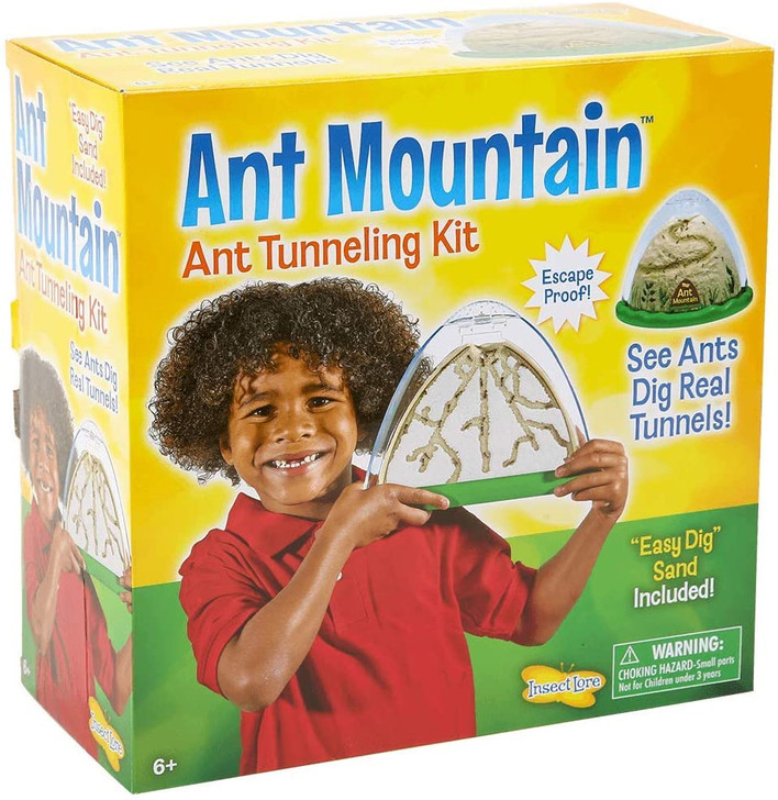 Ant Mountain