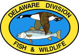  Delaware Boating & PWC Certification Course Online 