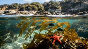 What Is a Marine Protected Area: Key Facts Explained