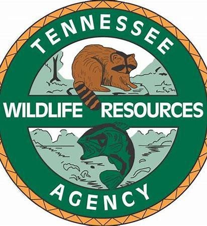  Tennessee Boating & PWC Certification Course Online 