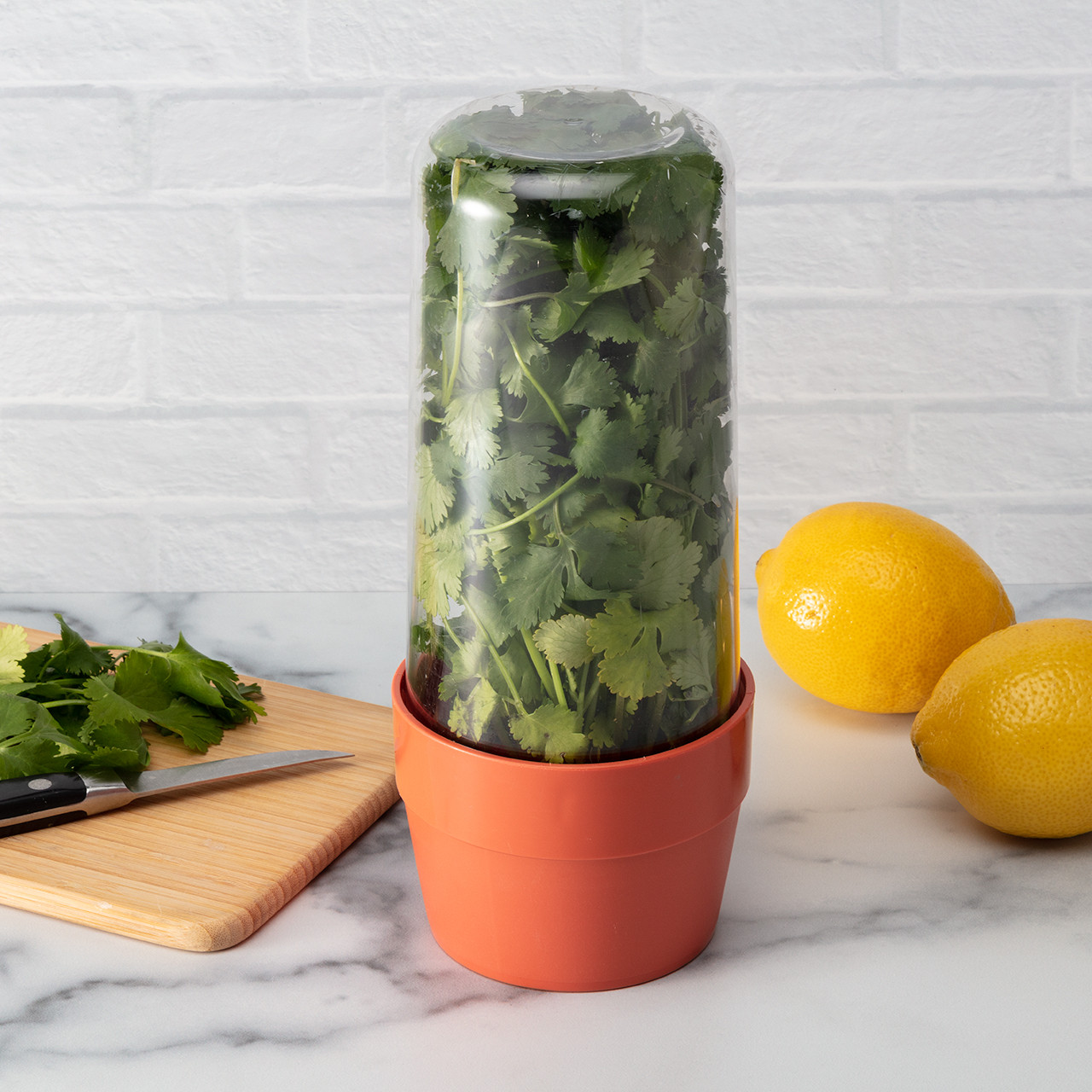 Refrigerator Herb Crisper Saver Pod Container Vegetable Preserving