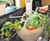 Garden Colander