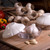 Pro-Line Garlic Saver - 2nd Generation