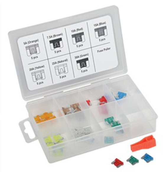 36 Pc Low Profile Mini Fuse