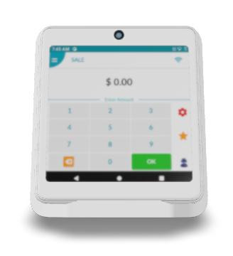 Dejavoo P12  Pocket Sized POS 