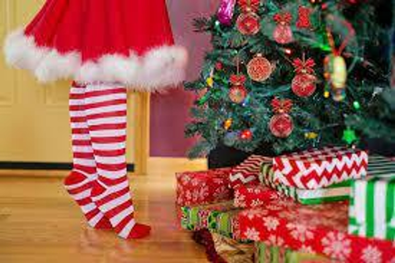 Santa's Toy Shop Holiday Gifts