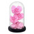 Heart Shaped Immortal Enchanted Preserved Rose Glass Display (3 Colors)