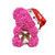 Limited Edition 2021 Royal Merry Christmas Santa Rose Teddy Bear (34 Designs) 25cm or 40cm