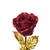 Shimmering Glitter 24k "Galaxy" Gold Rose "Love You For Life" Love Optional Display Stand