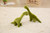 Long Neck Dino Pillow Plush 3D Stuffed Animal Brachiosaurus (4 Colors) 5 Sizes