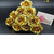 10 Pack 24k Gold Rose "Love You For Life" Love Display Stand & Gift Card