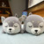 Corgi Shiba Inu Dog Husky Pillow Plush 3D Stuffed Animal (4 Sizes) 3 Colors