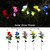 Solar Powered Outdoor Garden Roses (5Colors) Waterproof