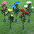 Solar Powered Outdoor Garden Roses (5Colors) Waterproof