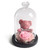 Immortal Preserved Rose Teddy Bear Glass LED Display (4 Colors)