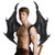 Costume 3D Dragon Wings or Mask Set (4 Colors)