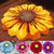 Sunflower Rose Flower Carpet Rug Mat (5 Colors 2 Sizes) Home Decor