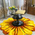 Sunflower Rose Flower Carpet Rug Mat (5 Colors 2 Sizes) Home Decor