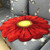 Sunflower Rose Flower Carpet Rug Mat (5 Colors 2 Sizes) Home Decor