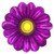 Sunflower Rose Flower Carpet Rug Mat (5 Colors 2 Sizes) Home Decor