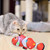Dancing Fish Plush Bite Resistant Cat Chew Toy (13 Types of Fish)