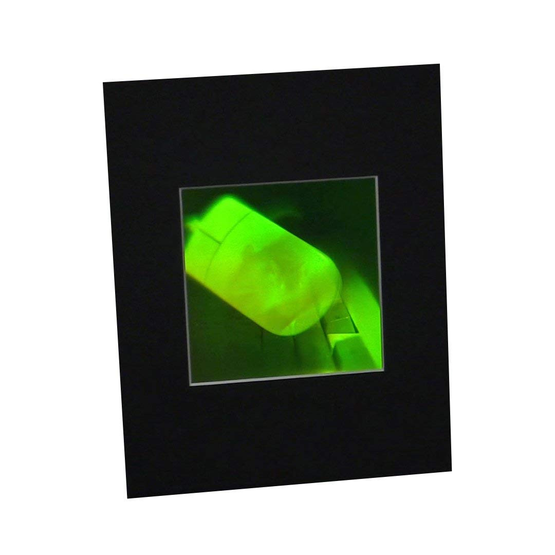 3D Mouse Multi-Channel Hologram Picture (MATTED), Collectible