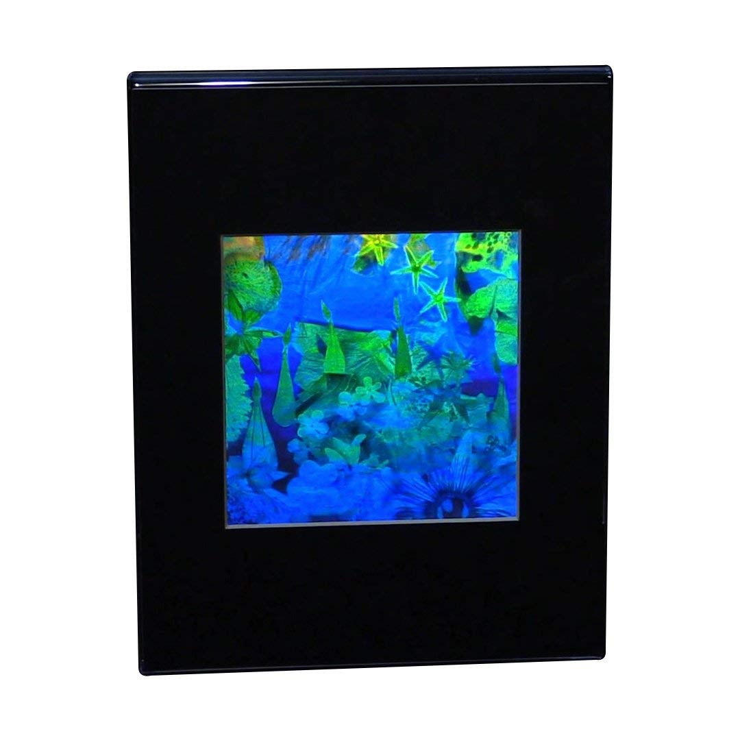 Homogram Desk 3D Undersea Hologram Picture(DESK STAND), Collectible EMBOSSED Type Film