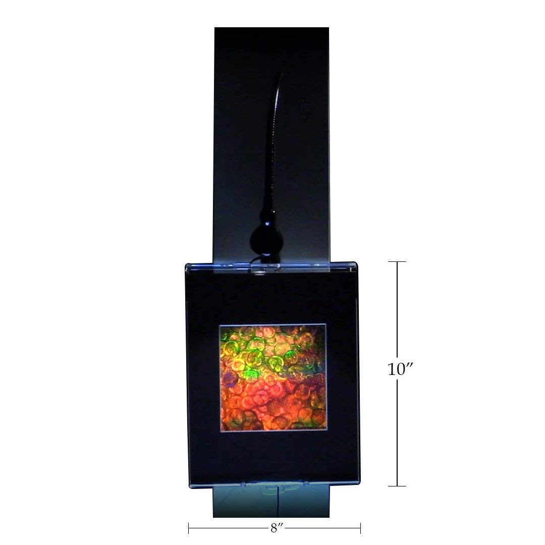 3D US Coins Hologram Picture (LIGHTED WALL DISPLAY), Collectible ...