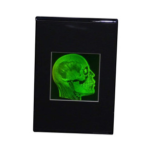 Brain/Skull (Anatomically Accurate) True 3D Photopoloymer Realistic 2-Channel 3D Hologram Picture - Deskstand Brain/Skull (Anatomically Accurate) True 3D Photopoloymer Realistic 2-Channel 3D Hologram Picture - Deskstand