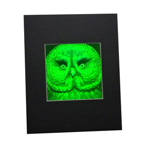 3D BIRDS OF PREY Hologram Picture Matted, Collectible Polaroid Photopolymer Film 3D BIRDS OF PREY Hologram Picture Matted, Collectible Polaroid Photopolymer Film