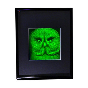 3D BIRDS OF PREY Hologram Picture Framed, Collectible Polaroid Photopolymer Film 3D BIRDS OF PREY Hologram Picture Framed, Collectible Polaroid Photopolymer Film