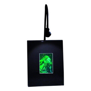 3D Alien Queen 2-Channel Hologram Picture (LIGHTED DESK STAND), Collectible Photopolymer Type Film 3D Alien Queen 2-Channel Hologram Picture (LIGHTED DESK STAND), Collectible Photopolymer Type Film