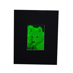 3D Arctic Wolf 2-Channel Hologram Picture (MATTED), Collectible Photopolymer Type Film 3D Arctic Wolf 2-Channel Hologram Picture (MATTED), Collectible Photopolymer Type Film