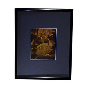3D BIRD Hologram Picture (FRAMED), Collectible on Silver Halide Type Film 3D BIRD Hologram Picture (FRAMED), Collectible on Silver Halide Type Film