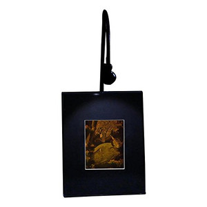 3D BIRD Hologram Picture (LIGHTED DESK STAND), Collectible on Silver Halide Type Film 3D BIRD Hologram Picture (LIGHTED DESK STAND), Collectible on Silver Halide Type Film